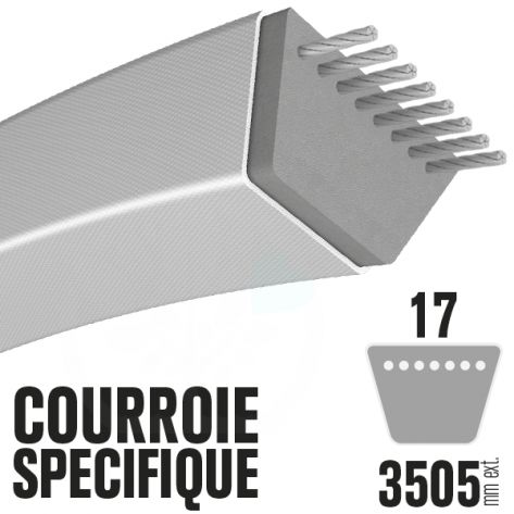 Courroie H&eacute;xagonale BB135 (6 c&ocirc;t&eacute;s). 17mm x 3505mm 