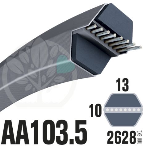 Courroie H&eacute;xagonale AA103.5 (6 c&ocirc;t&eacute;s). 13mm x 2628mm