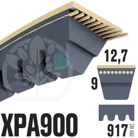 Courroie Trap&eacute;zo&iuml;dale Crant&eacute;e XPA900. 12,7mm x 917mm ext.
