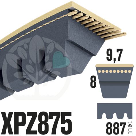Courroie Trap&eacute;zo&iuml;dale Crant&eacute;e XPZ875. 9,7mm x 887mm ext.