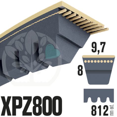 Courroie Trap&eacute;zo&iuml;dale Crant&eacute;e XPZ800. 9,7mm x 812mm ext.