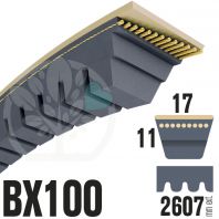 Courroie Trapézoïdale Crantée BX100 Néoprène. 17mm x 2607mm