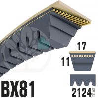 Courroie Trapézoïdale Crantée BX81 Néoprène. 17mm x 2124mm