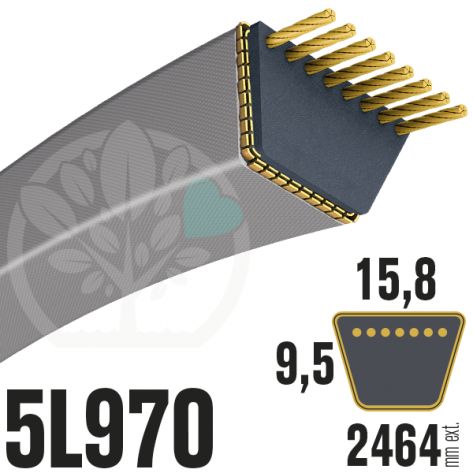 Courroie Trap&eacute;zo&iuml;dale 5L970 Renforc&eacute;e Kevlar. 15.8mm x 2464mm