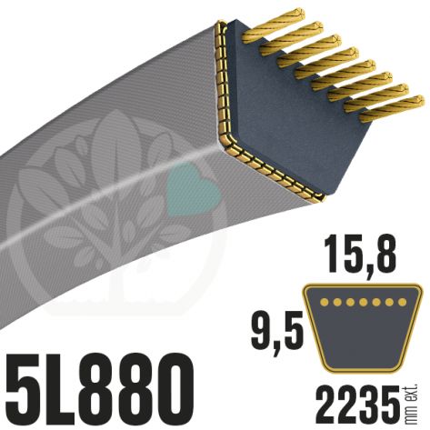 Courroie Trap&eacute;zo&iuml;dale 5L880 Renforc&eacute;e Kevlar. 15.8mm x 2235mm