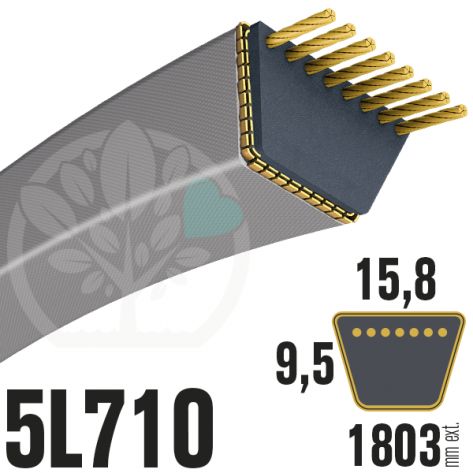 Courroie Trap&eacute;zo&iuml;dale 5L710 Renforc&eacute;e Kevlar. 15.8mm x 1803mm