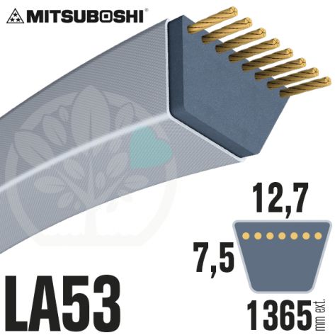 Courroie Mitsuboshi LA53 Renforcée.  12,7mm x 1365mm