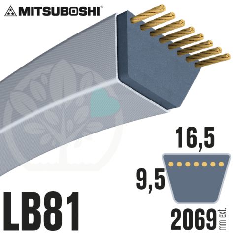 Courroie Mitsuboshi LB81 Renforc&eacute;e.  16.5mm x 2069mm