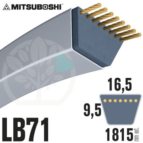 Courroie Mitsuboshi LB71 Renforc&eacute;e.  16.5mm x 1815mm