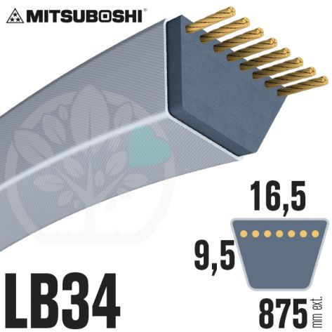 Courroie Mitsuboshi LB34 Renforcée.  16.5mm x 875mm