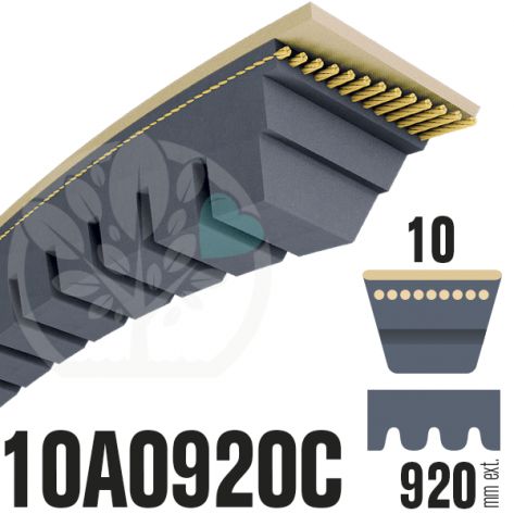 Courroie Trap&eacute;zo&iuml;dale Crant&eacute;e 10A0920C. 10mm x 920mm
