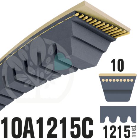 Courroie Trap&eacute;zo&iuml;dale Crant&eacute;e 10A1215C. 10mm x 1215mm