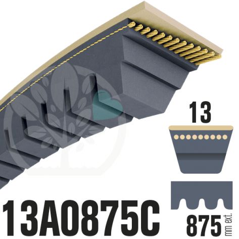 Courroie Trap&eacute;zo&iuml;dale Crant&eacute;e 13A0875C. 13mm x 875mm 