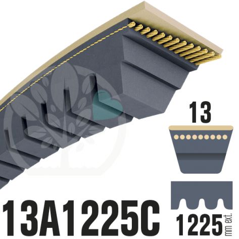 Courroie Trap&eacute;zo&iuml;dale Crant&eacute;e 13A1225C. 13mm x 1225mm