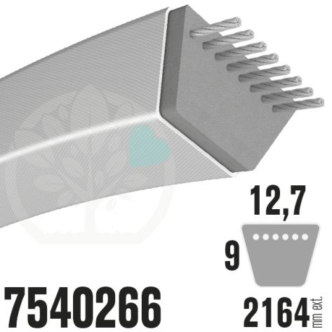 Courroie MTD Sp&eacute;cifique 7540266. 12,7mm x 2164mm