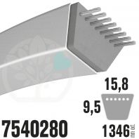 Courroie MTD Spécifique 7540280. 15,8mm x 1346mm