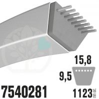 Courroie MTD Spécifique 7540281. 15,8mm x 1123mm