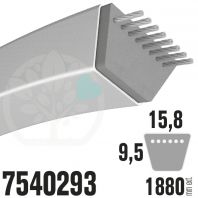 Courroie MTD Spécifique 7540293. 12.7mm x 1880mm