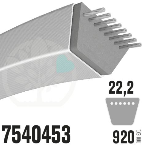 Courroie MTD Sp&eacute;cifique 7540453. 22,2mm x 920mm