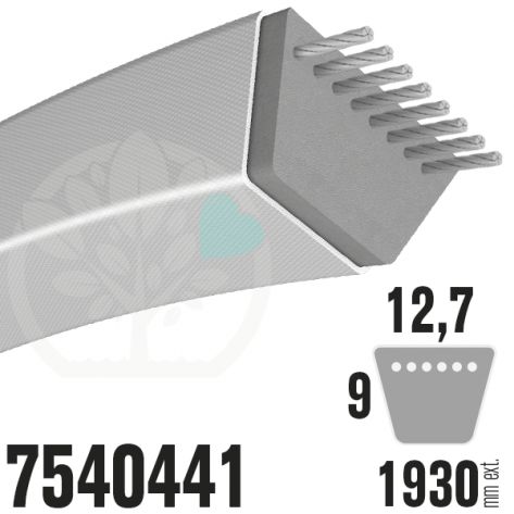 Courroie MTD Sp&eacute;cifique 7540441. 12,7mm x 1930mm