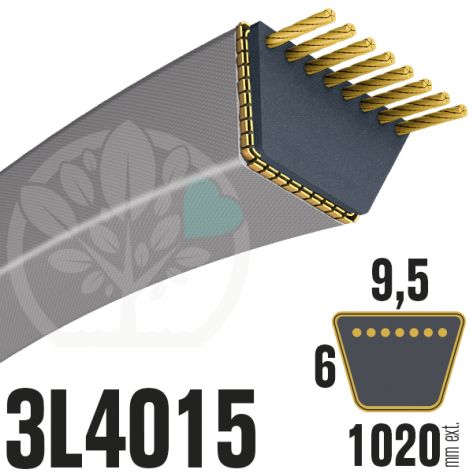 Courroie Trap&eacute;zo&iuml;dale 3L4015 Renforc&eacute;e Kevlar. 9.5mm x 1020mm