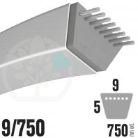 Courroie Trap&eacute;zo&iuml;dale 9/750. 9mm x 750mm