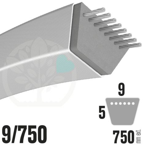 Courroie Trap&eacute;zo&iuml;dale 9/750. 9mm x 750mm