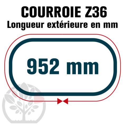 Courroie Trap&eacute;zo&iuml;dale Z36 N&eacute;opr&egrave;ne. 10mm x 952mm ext.