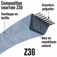 Courroie Trapézoïdale Z36 Néoprène. 10mm x 952mm ext.