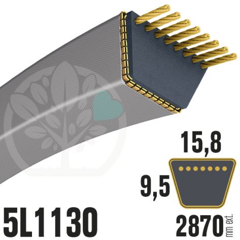 Courroie Trap&eacute;zo&iuml;dale 5L1130 Renforc&eacute;e Kevlar. 15.8mm x 2870mm
