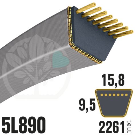 Courroie Trap&eacute;zo&iuml;dale 5L890 Renforc&eacute;e Kevlar. 15.8mm x 2261mm