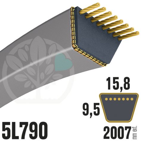 Courroie Trap&eacute;zo&iuml;dale 5L790 Renforc&eacute;e Kevlar. 15.8mm x 2007mm