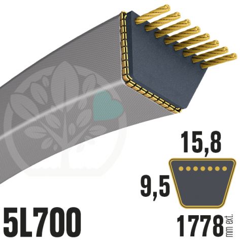 Courroie Trap&eacute;zo&iuml;dale 5L700 Renforc&eacute;e Kevlar. 15.8mm x 1778mm
