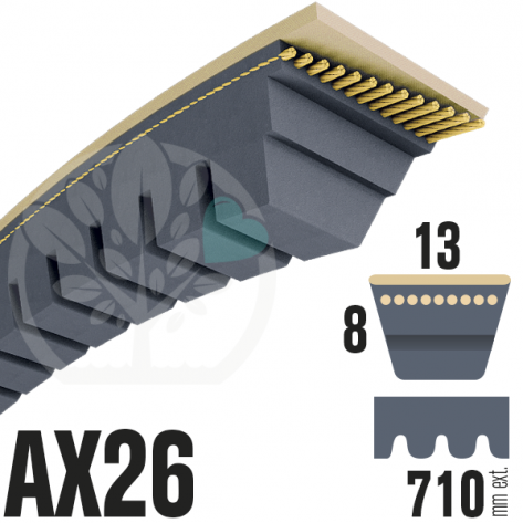 Courroie Trap&eacute;zo&iuml;dale Crant&eacute;e AX26 N&eacute;opr&egrave;ne. 13mm x 710mm
