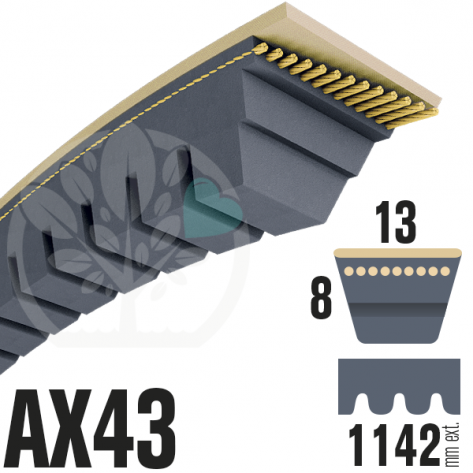 Courroie Trap&eacute;zo&iuml;dale Crant&eacute;e AX43 N&eacute;opr&egrave;ne. 13mm x 1142mm