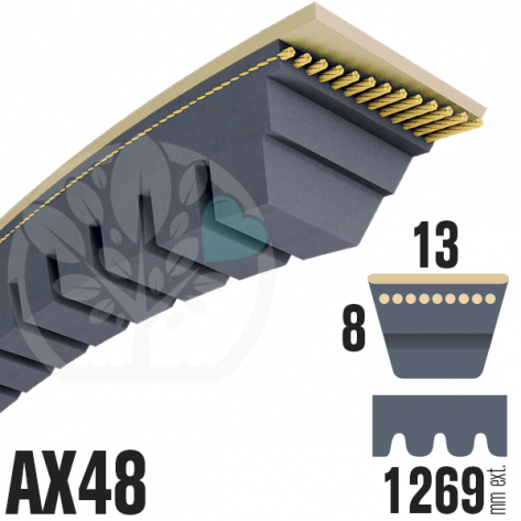 Courroie Trap&eacute;zo&iuml;dale Crant&eacute;e AX48 N&eacute;opr&egrave;ne. 13mm x 1269mm
