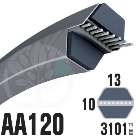 Courroie H&eacute;xagonale AA120 (6 c&ocirc;t&eacute;s) 13mm x 3101mm
