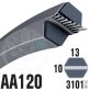 Courroie Héxagonale AA120 (6 côtés) 13mm x 3101mm