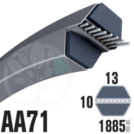 Courroie H&eacute;xagonale AA71 (6 c&ocirc;t&eacute;s) 13mm x 1885mm