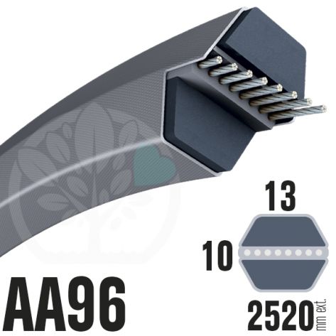 Courroie H&eacute;xagonale AA96 (6 c&ocirc;t&eacute;s) 13mm x 2520mm