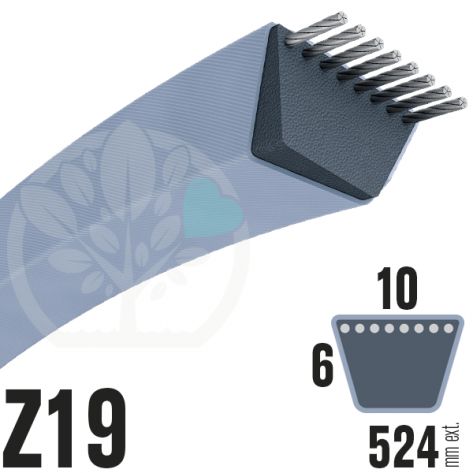 Courroie Trap&eacute;zo&iuml;dale Z19 N&eacute;opr&egrave;ne. 10mm x 524mm ext.