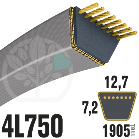 Courroie Trap&eacute;zo&iuml;dale 4L750 Renforc&eacute;e Kevlar. 12.7mm x 1905mm