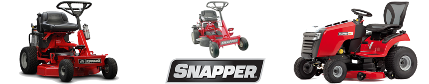 Snapper