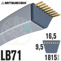 Courroie Mitsuboshi LB71 Renforcée.  16.5mm x 1815mm